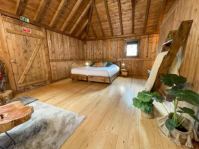 Mountain Eco Shelter 2